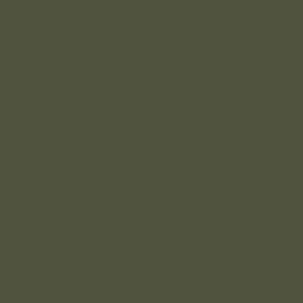 RAL 6003 - Olivgrün